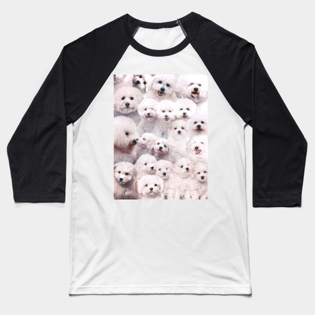 Bichons - Dogs Baseball T-Shirt by MaxencePierrard